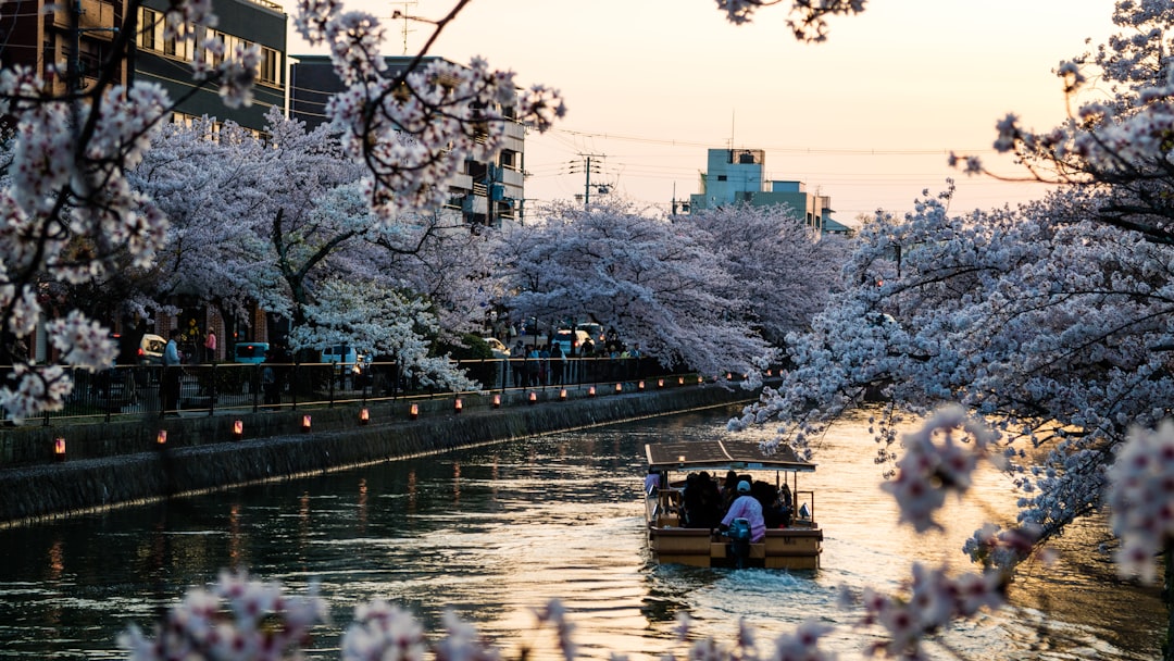 The Shoji Tabuchi Show: A Spectacular Musical Experience